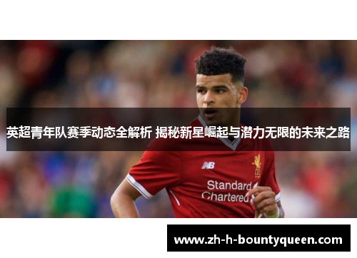 英超青年队赛季动态全解析 揭秘新星崛起与潜力无限的未来之路