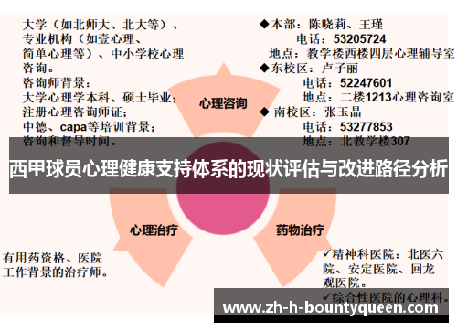 西甲球员心理健康支持体系的现状评估与改进路径分析